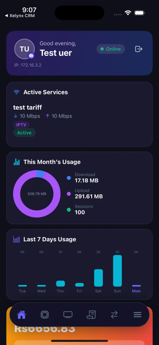Customer app home — connection status and usage